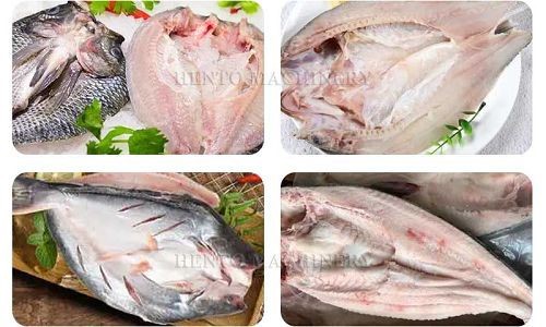 fish back open machine fish back open machine