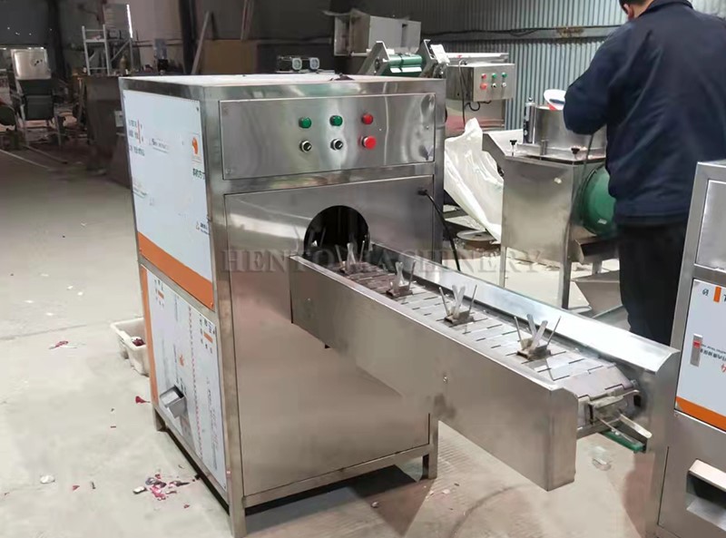 onion root cutting equipment onion root cutting equipment