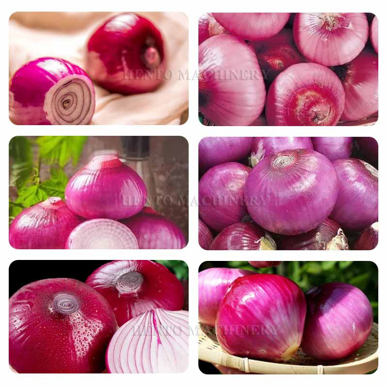 cutter machine for onions cutter machine for onions