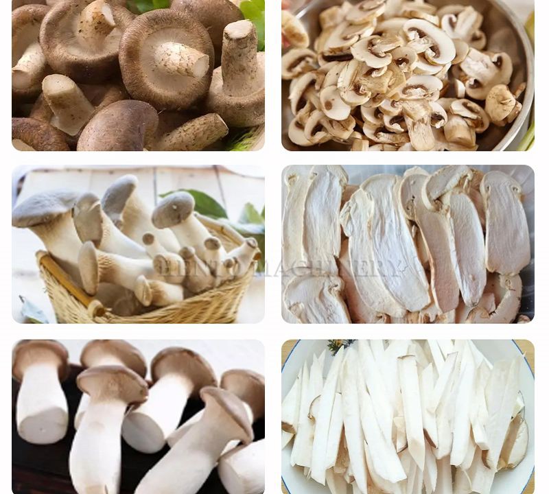 Mushroom Slicing Cutting Machine001 Mushroom Slicing Cutting Machine001