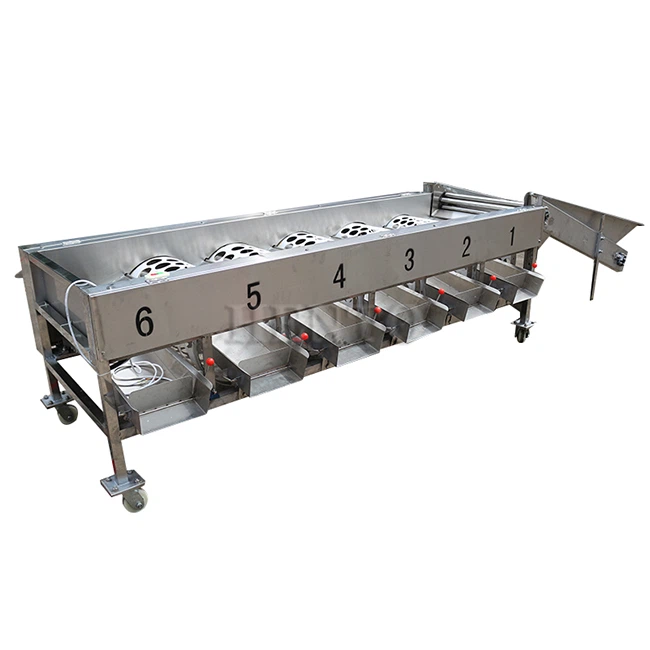 Citrus Cleaning And Sorting Line