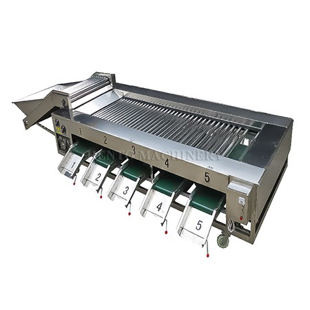 Orange Fruit Sorting Machine