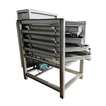 Almond Size Grading Machine
