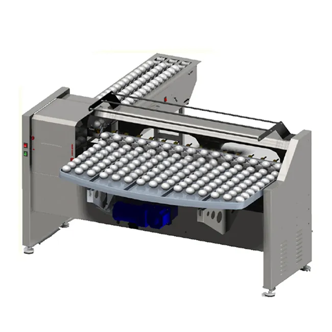 Egg Grader Machine