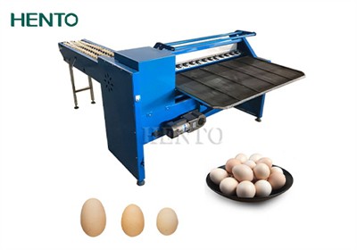 What is Egg Grading Machine?