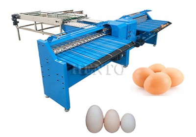 How to classify eggs?