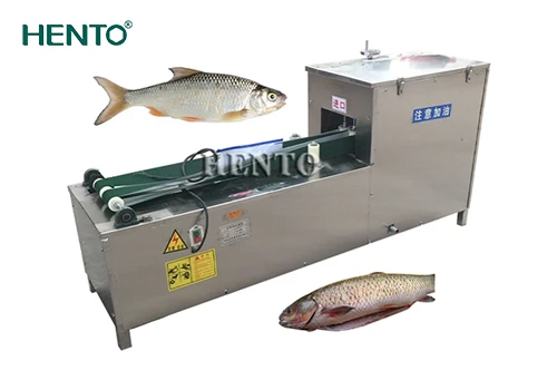 Introduction to Small Fish Guting Machine