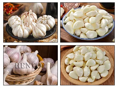 Electric Garlic Peeler Electric Garlic Peeler