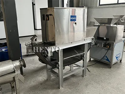 Garlic Peeler Machine Garlic Peeler Machine