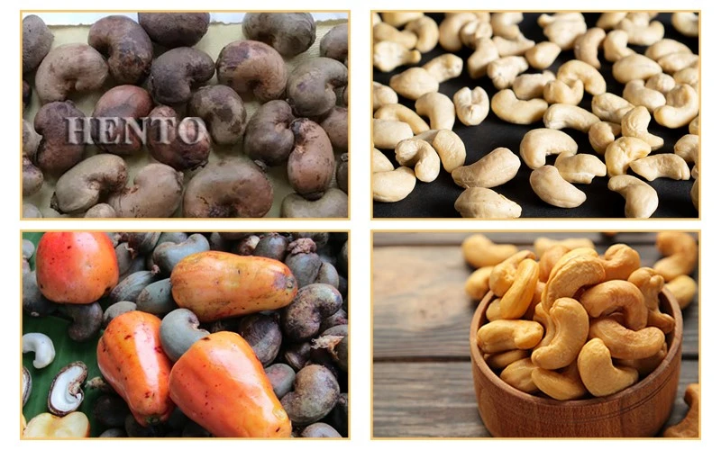 Automatic Cashew Shelling Machine Automatic Cashew Shelling Machine