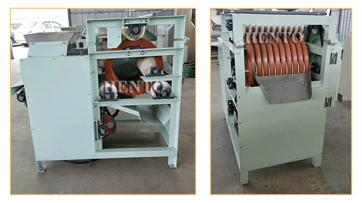 Broad Bean Cutting Machine Broad Bean Cutting Machine