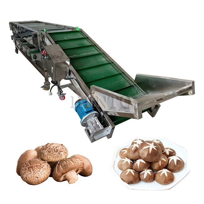 Mushroom Sorting Machine
