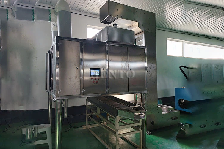 Hazelnut Skin Peeling Machine Roast Hazelnut Skin Peeling Machine Roast