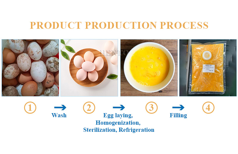 Poultry Egg Production Line Poultry Egg Production Line