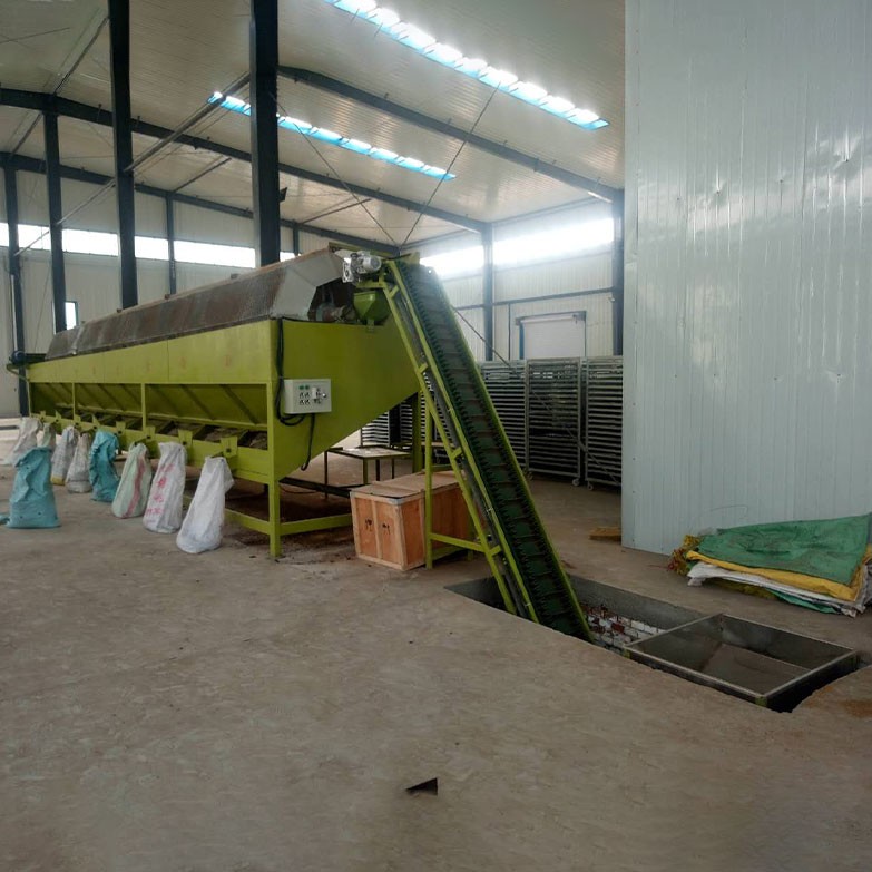 Cashew Nut Peeling Processing Machine Cashew Nut Peeling Processing Machine