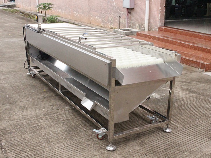 Citrus cleaning and sorting line Citrus cleaning and sorting line