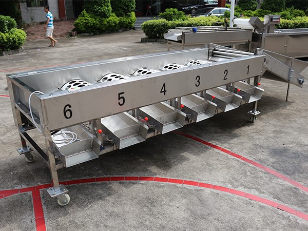 Citrus cleaning Machine Citrus cleaning Machine