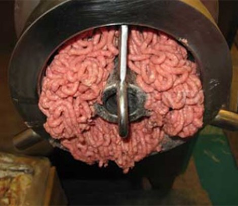 Chicken Bone Mincing Machine Chicken Bone Mincing Machine