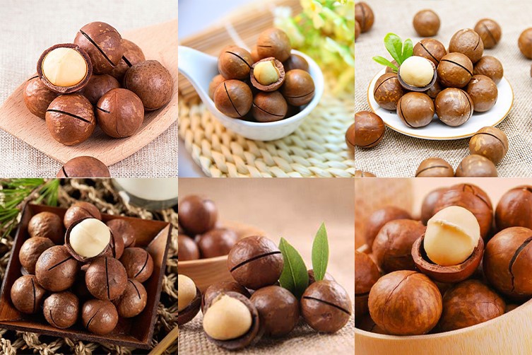 Macadamia Nut Cracker Machine Macadamia Nut Cracker Machine