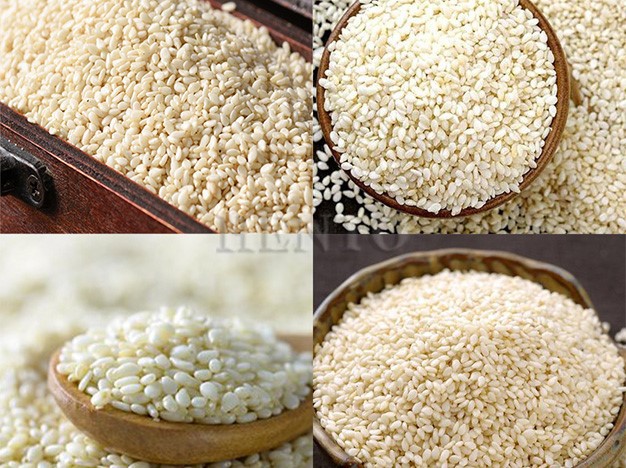 Sesame Washing Machine Sesame Washing Machine