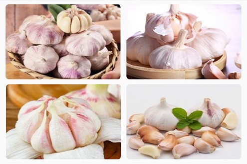 garlic peeling line 3 garlic peeling line 3