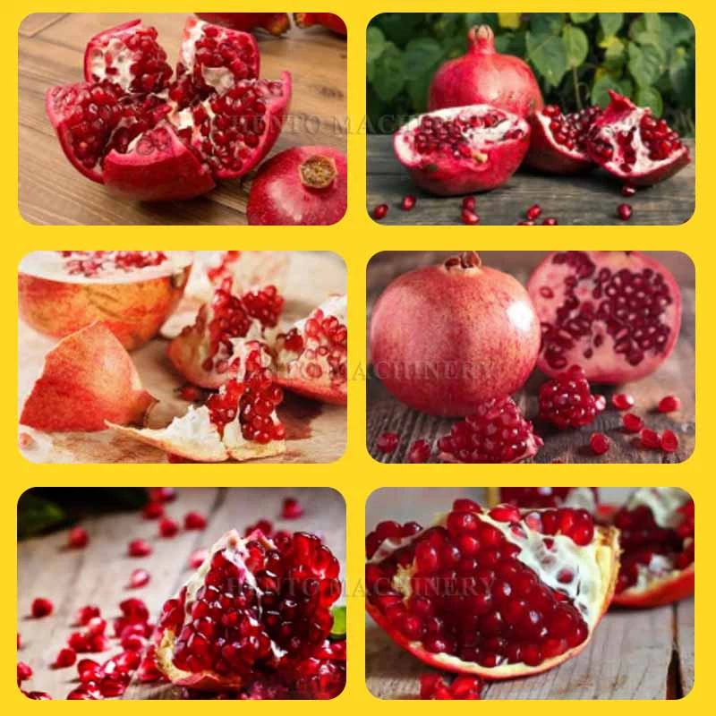 Automatic Pomegranate Peeler 2 Automatic Pomegranate Peeler 2