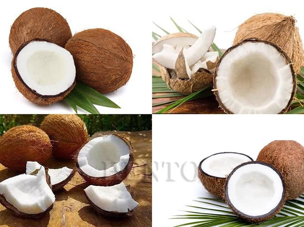coconut cutting machine 4 coconut cutting machine 4