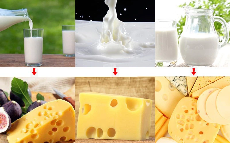 Electric Cheese Maker Electric Cheese Maker