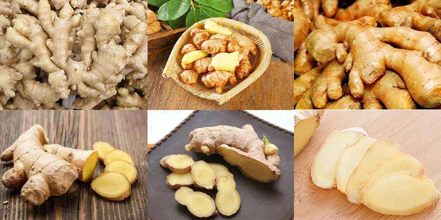 Ginger Slicing Machine Ginger Slicing Machine