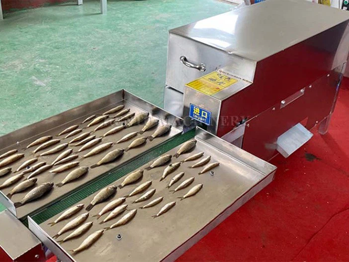 Fish Gutting Machine Fish Gutting Machine