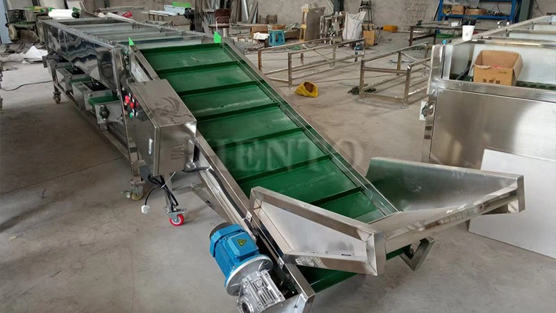 Kiwi Fruit Sorting Machine Kiwi Fruit Sorting Machine