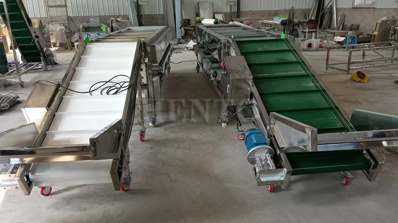 Oranges Sorting Machine Oranges Sorting Machine