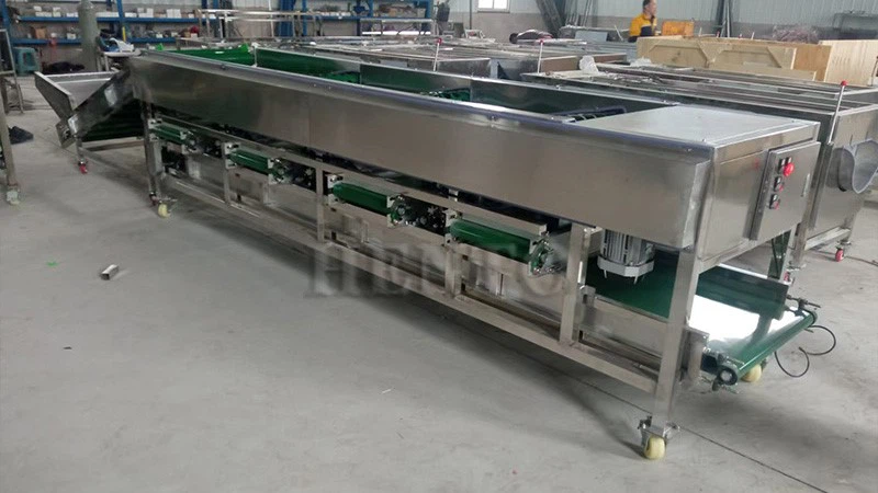 Blueberry Sorting Machine Blueberry Sorting Machine