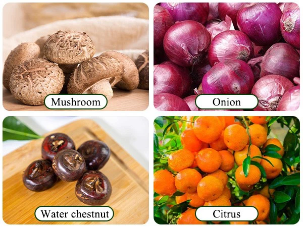 Sorting Machine For Vegetable Sorting Machine For Vegetable