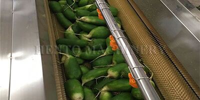 fruit and vegetable cleaning machine fruit and vegetable cleaning machine