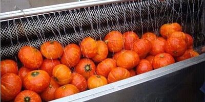 potato peel remove machine potato peel remove machine