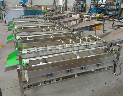 Fruit Sorting Machine Fruit Sorting Machine