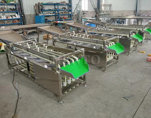 Vegetable Sorting Machine Vegetable Sorting Machine