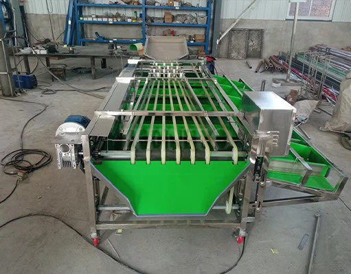 Passion Fruit Sorting Machine Passion Fruit Sorting Machine