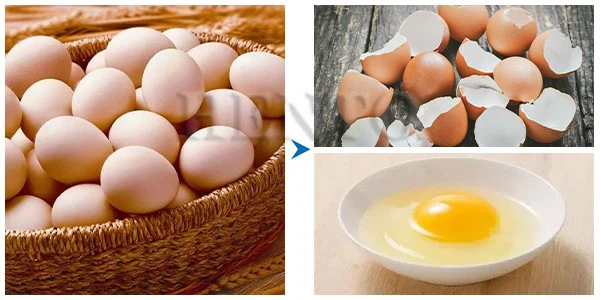 Egg Shell Separator Egg Shell Separator