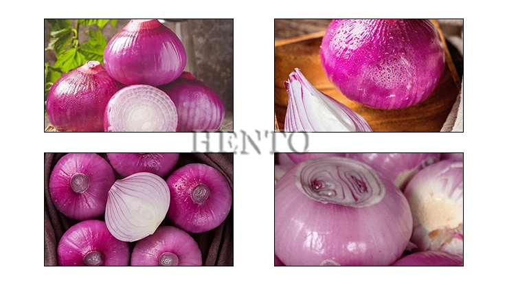 Dry Onion Peeling Machine Dry Onion Peeling Machine