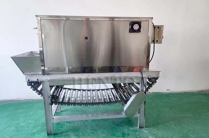 Industrial Onion Peeler Industrial Onion Peeler